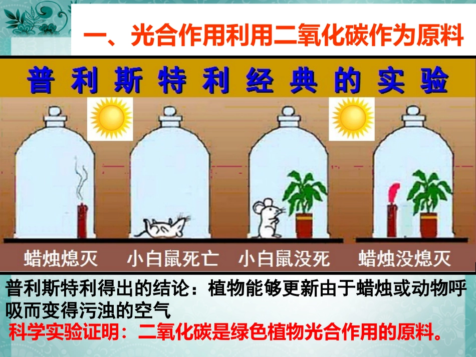 光合作用吸收二氧化碳释放氧气_第3页
