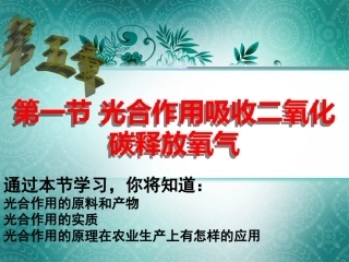 光合作用吸收二氧化碳释放氧气