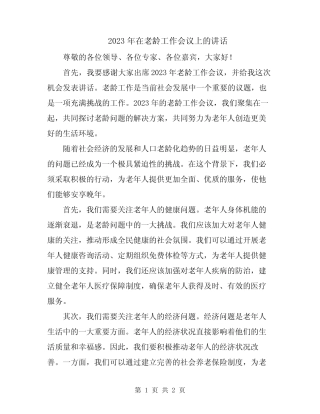 2023年在老龄工作会议上的讲话 