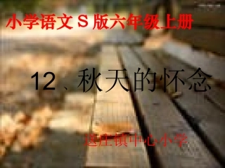 12-秋天的怀念