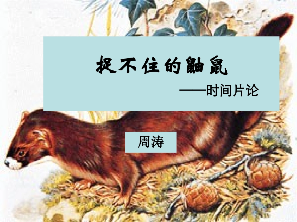 捉不住的鼬鼠──时间片论_第3页