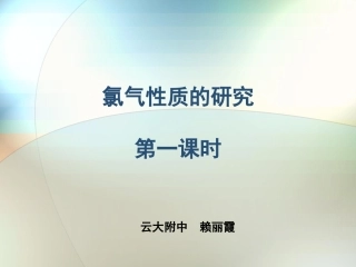 氯气性质的研究-(2)