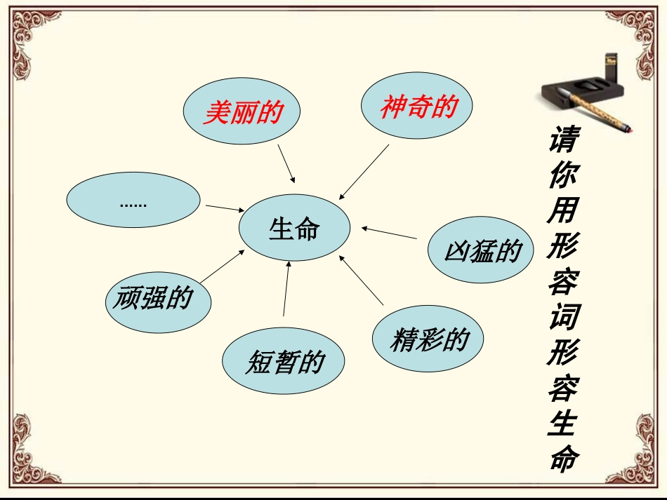 《5.1-珍爱生命》课件2_第2页
