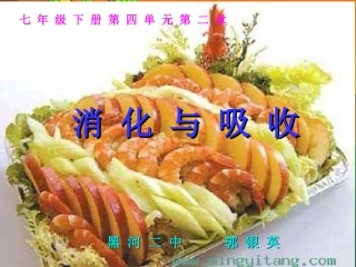 七年级生物下册：第四单元第二章第二节消化和吸收8课件-人教版