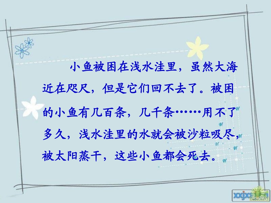 ppt1这条小鱼在乎_第3页