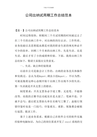 公司出纳试用期工作总结范本