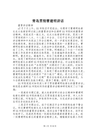 青岛贯彻曹建明讲话发言