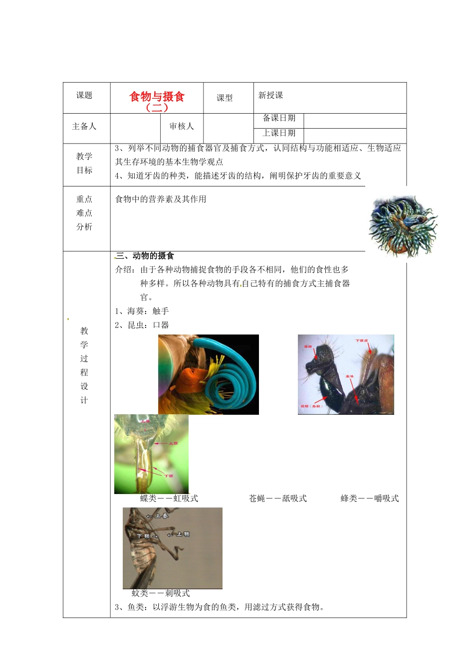 浙江省绍兴县杨汛桥镇中学九年级科学上册《食物与摄食（二）》教案 浙教版_第1页