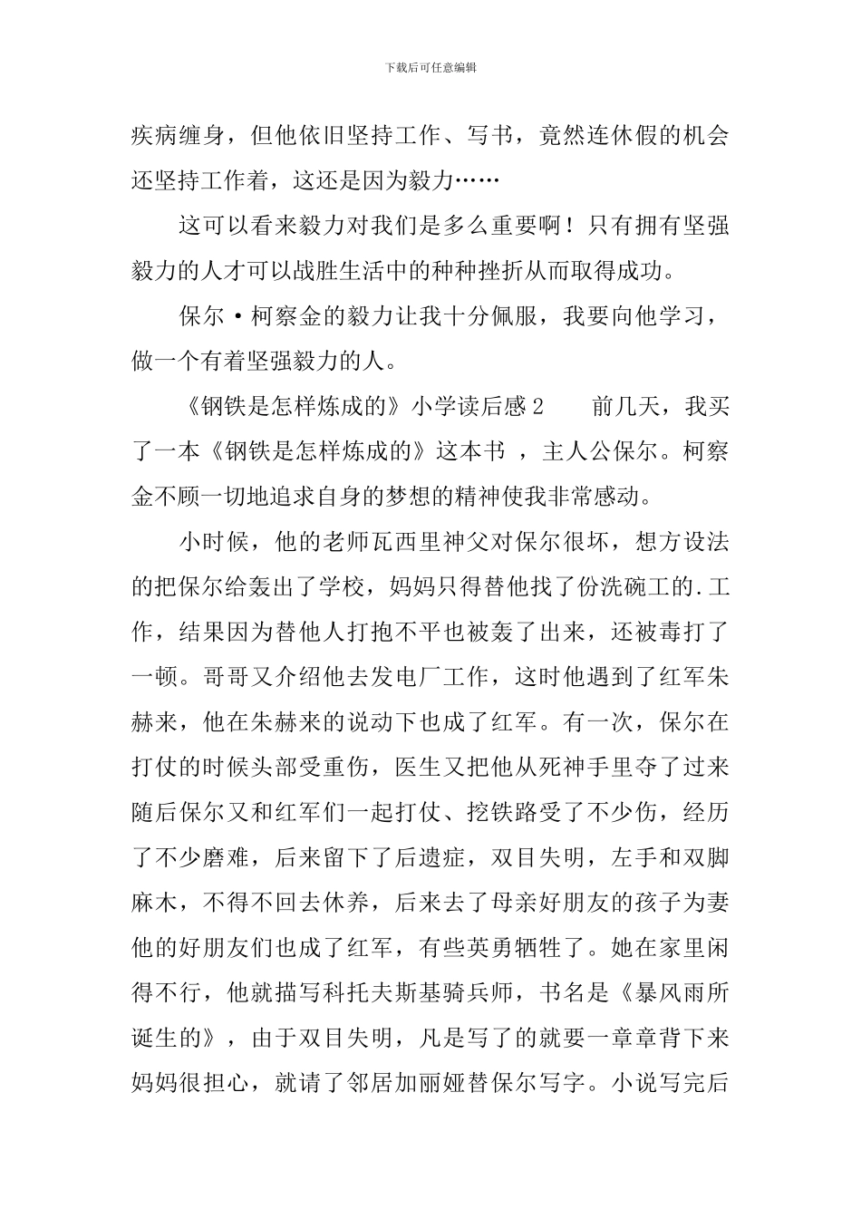 《钢铁是怎样炼成的》小学读后感_第2页