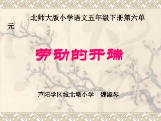 评优课劳动的开端