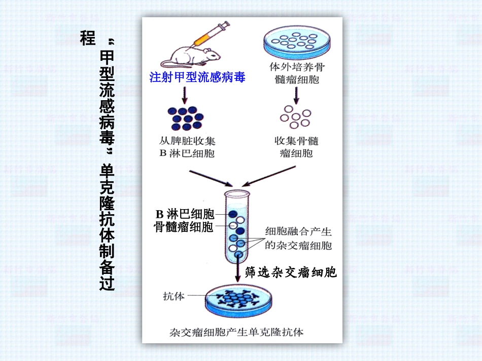撰写一个细胞工程的技术设计_第3页