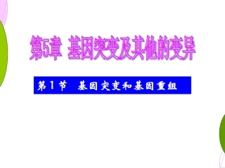 5.1《基因突变和基因重组》-课件-顾良国