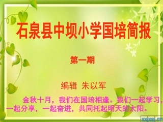 中坝小学国培简报1