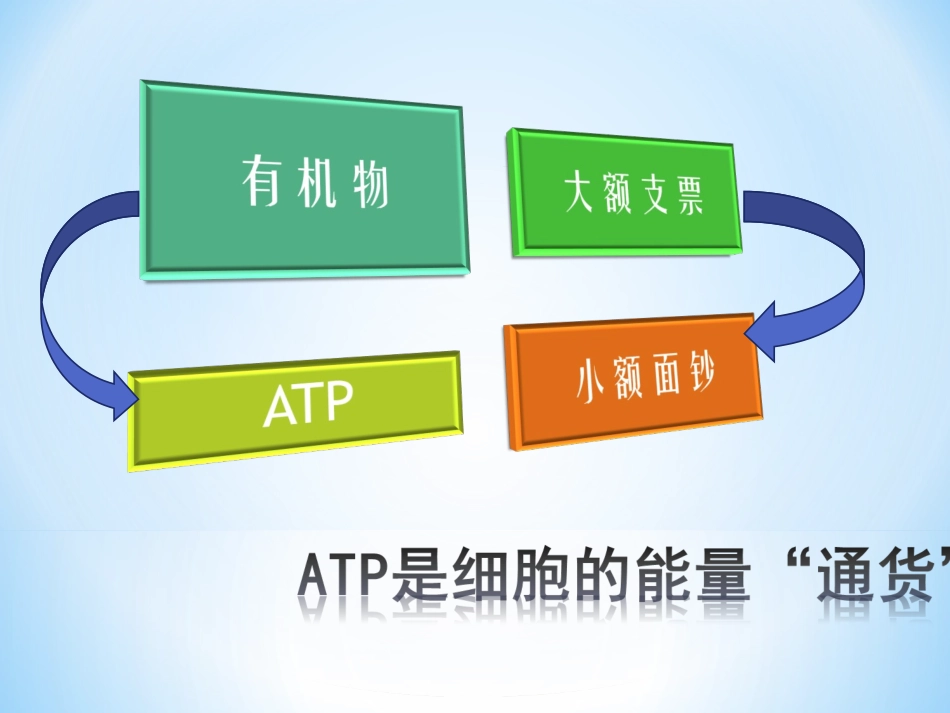 1课堂-2012212154-骆鹤玲-《细胞的能量“通货”-ATP》_第3页