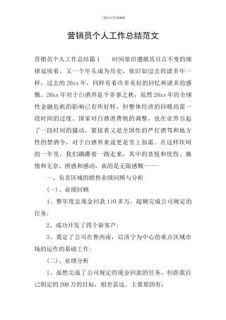 营销员个人工作总结范文