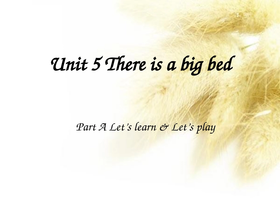 unit5thereisabed_第1页