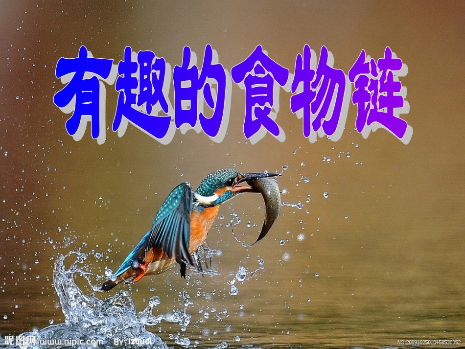 《有趣的食物链》1课件_第1页