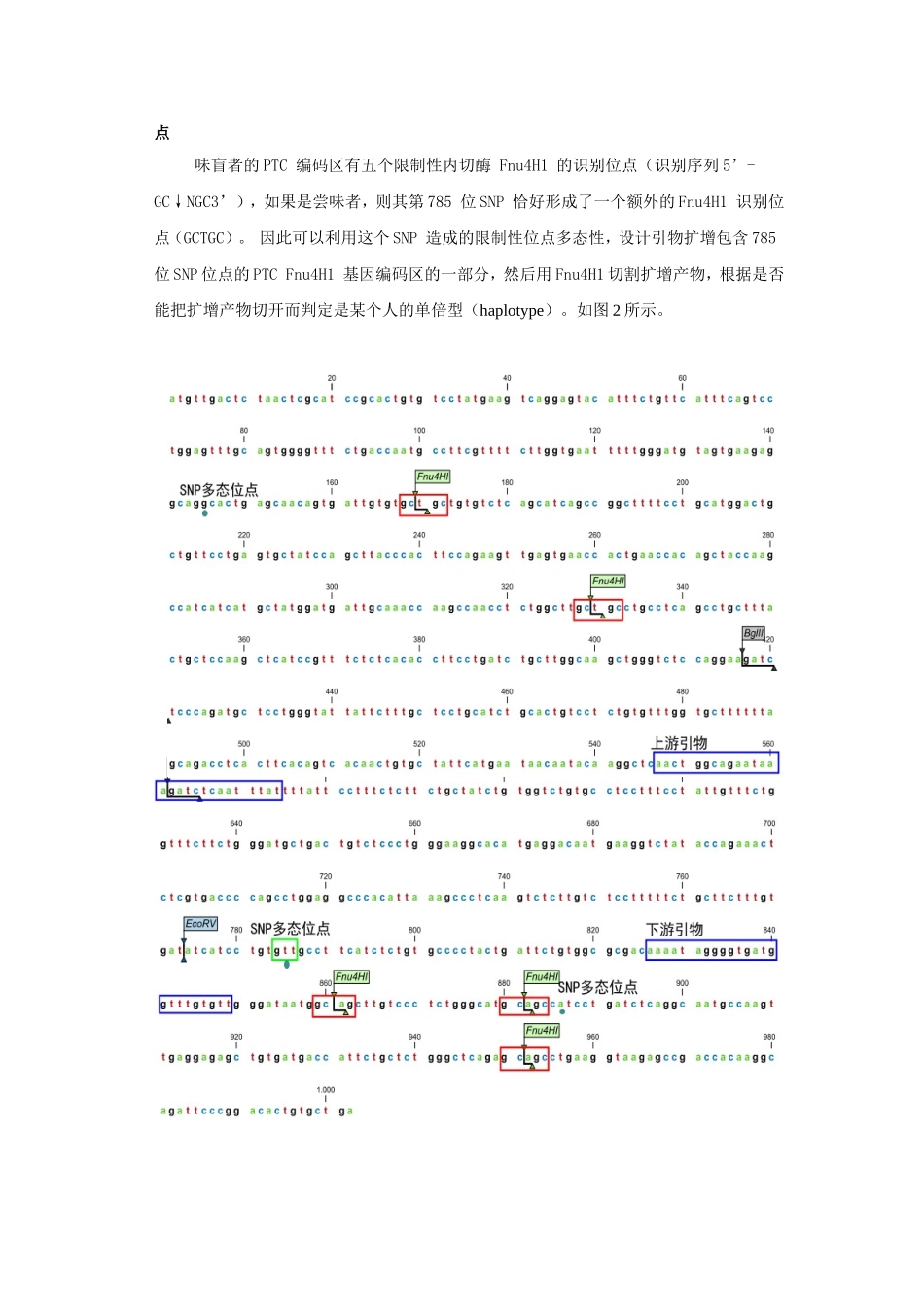 实验六苯硫脲尝味的群体遗传学调查_第2页