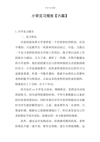 小学见习报告