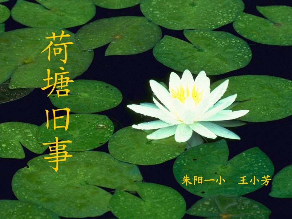 荷塘旧事课件_第1页