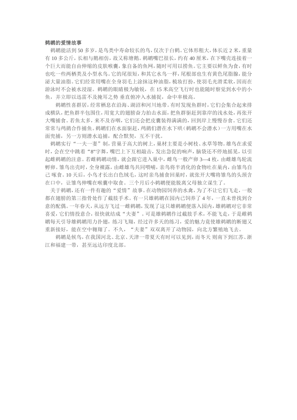 鹈鹕的爱情故事_第1页