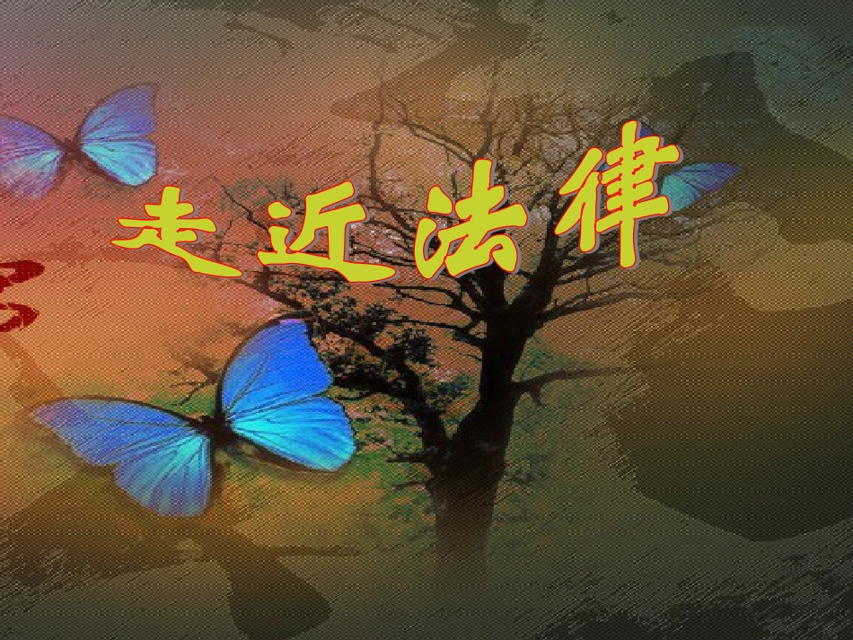 走近法律课件_第1页