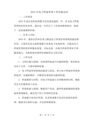 2024年电子档案管理工作经验总结 
