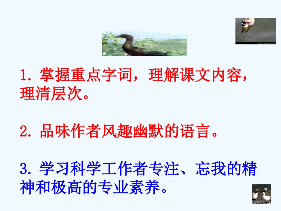 (部编)初中语文人教2011课标版七年级上册动物笑谈课件-(2)_第3页