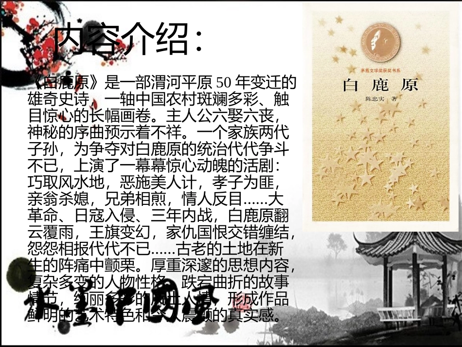 10.《白鹿原》_第3页