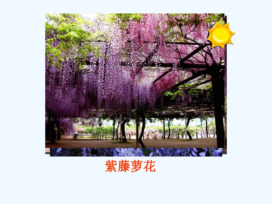 (部编)初中语文人教2011课标版七年级下册17、紫藤萝瀑布-(3)_第2页