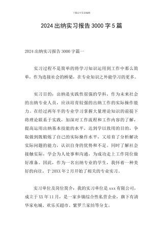 2024出纳实习报告3000字5篇