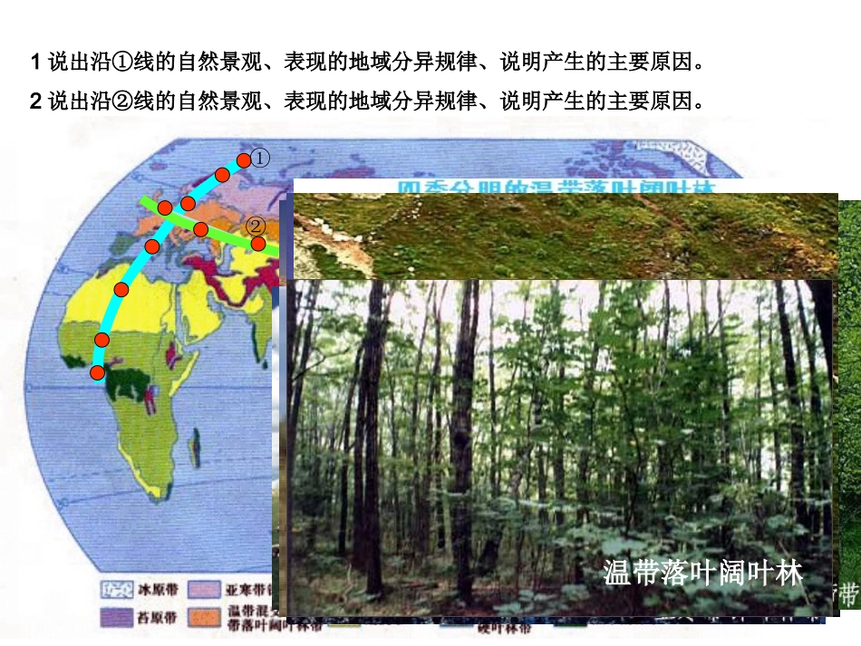 【地理】人教版必修1-第五章-第二节-自然地理环境的差异性(课件)_第3页