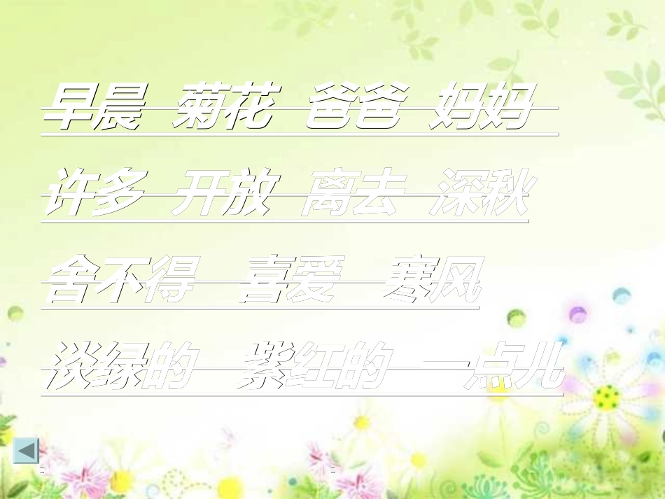 《看菊花》课件_第2页