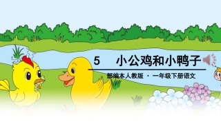 5小公鸡和小鸭子