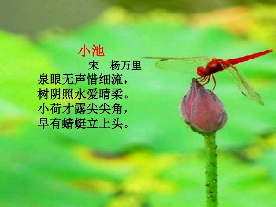 20理想的风筝_第3页