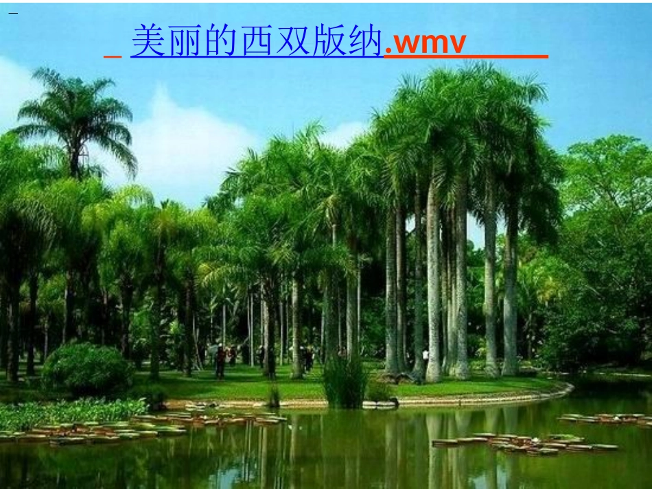 324美丽的西双版纳_第1页