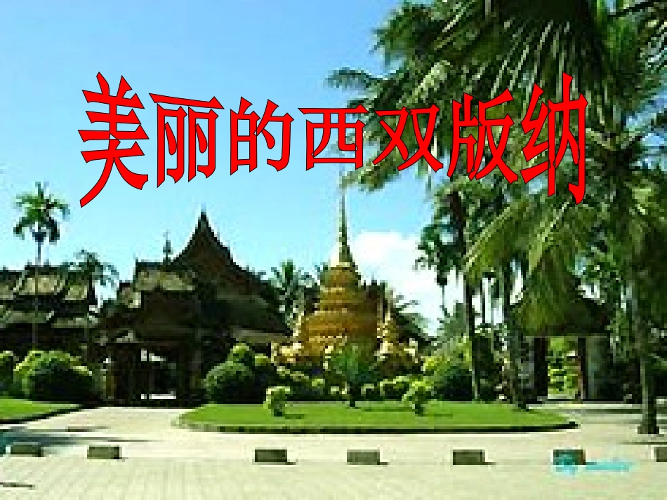 324美丽的西双版纳_第2页