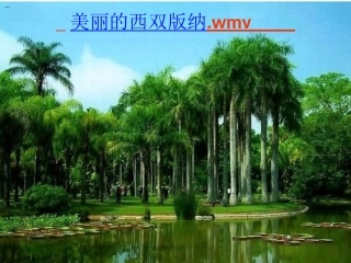 324美丽的西双版纳