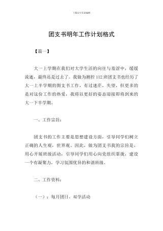 团支书明年工作计划格式