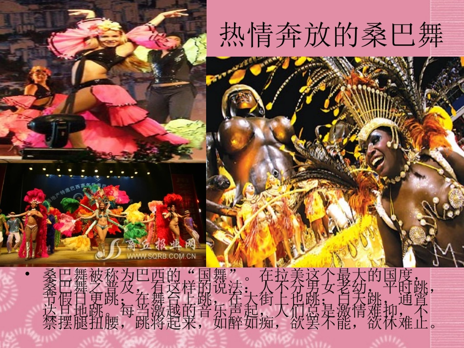 广东省阳东广雅中学七年级地理下册《巴西》课件-新人教版_第2页