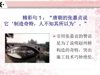 《中国石拱桥》精彩句讲解