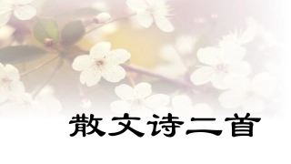 (部编)初中语文人教2011课标版七年级上册散文诗二首