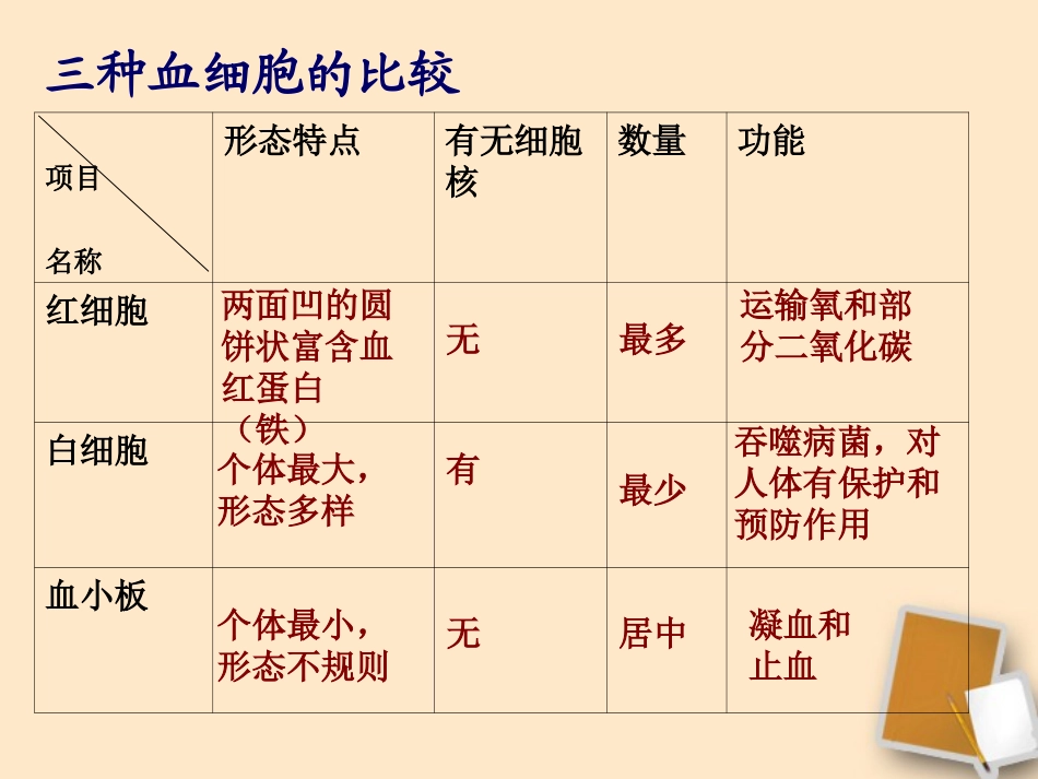 七年级生物下册-第四章第三节输送血液的泵—心脏课件-人教新课标版_第2页