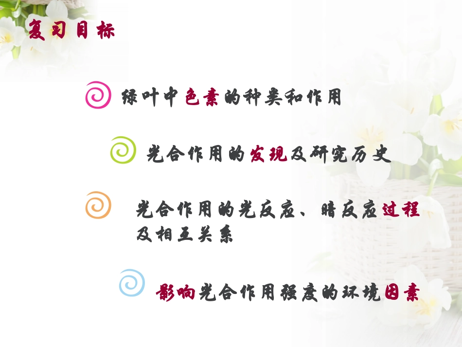 影响光合作用的因素(蒋笑虹)_第2页