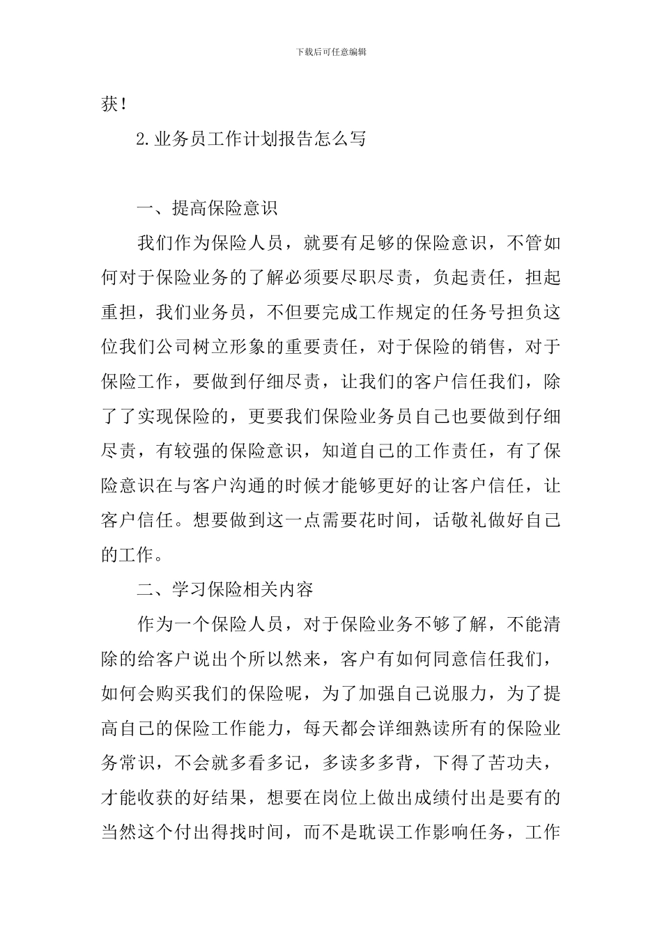 业务员工作计划报告怎么写_第3页