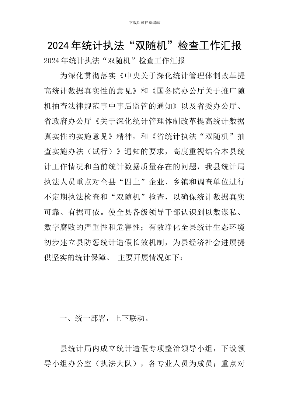 2024年统计执法“双随机”检查工作汇报_第1页
