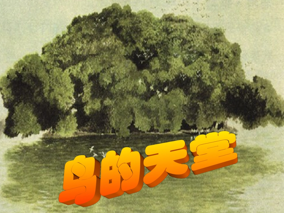 鸟的天堂课件_第1页