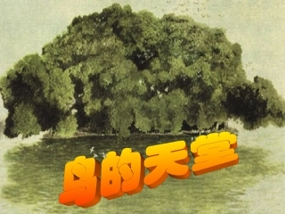 鸟的天堂课件