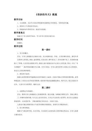 《奇妙的冬天》教案2