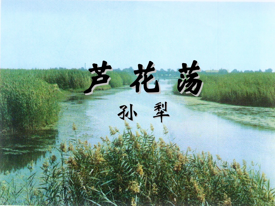 2.《芦花荡》_第1页